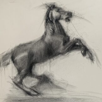 The Wild Pony by Rana Geralis