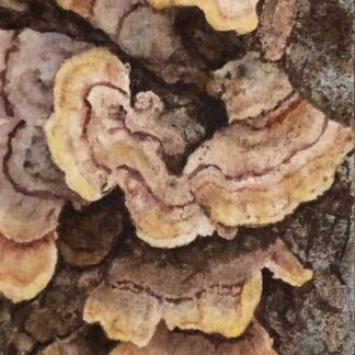 Dancing Mushrooms by Betsey Goldberg