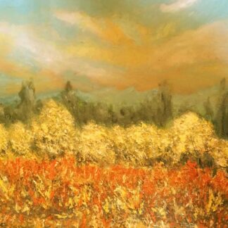 Spring in Argentina by Helen Goodrum