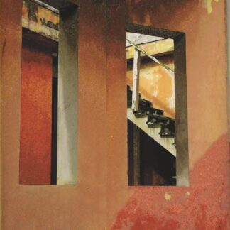 Remains by Helen Goodrum