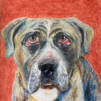Unconditional Love by Hannah Grisevich