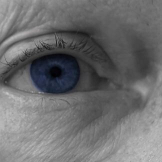 Blue Eyes by Georgette Grossman