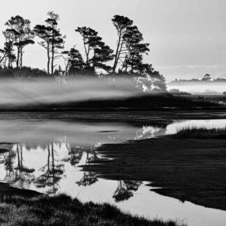 Morning Mist at Chincoteague by Georgette Grossman