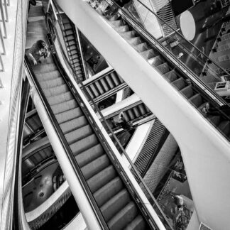 Up and Down by Judy Guenther