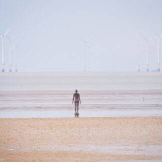 Contemplating the Future by Judy Guenther
