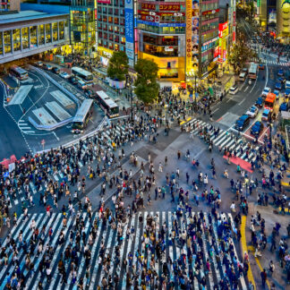 Urban Landscape to the Max by Judy Guenther