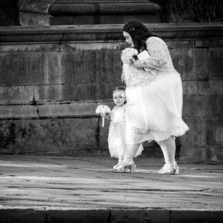 Wedding Party by Wayne Guenther