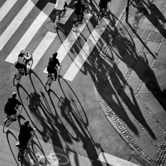 Bike Shadows by Wayne Guenther