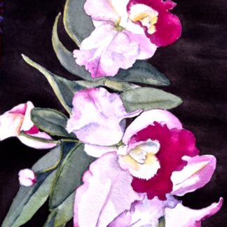 Beautiful Pair by Tara Hamilton