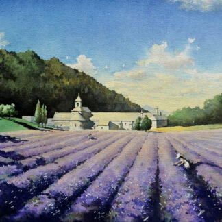 Lavender in Provence by Jinchen Han