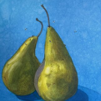 Fruit Flies and Pears by Margitta Hanff