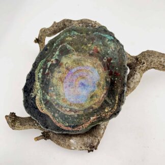 The Whole Universe by Merrilee Harrigan