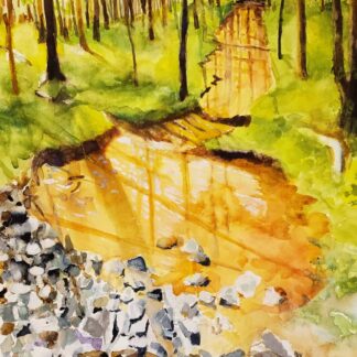 Stony Stream by Anne Heising