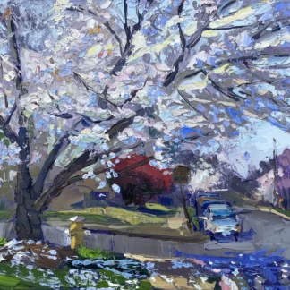 Pear Tree, Alexandria VA by William Hendricks
