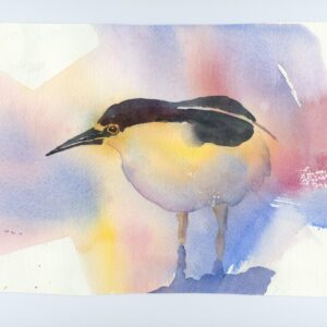 Birds in Watercolor