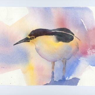 Birds in Watercolor