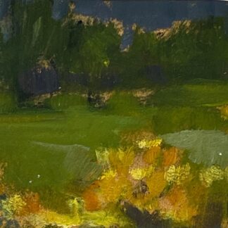 Olive Trees in Yellow Field by Pattee Hipschen
