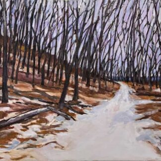 State Park Trail in the Snow by Pattee Hipschen