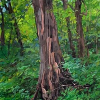 Light Through the Trees by Pattee Hipschen