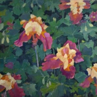 Red Iris by Pattee Hipschen