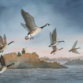 Morning Flight by Sandra Holler