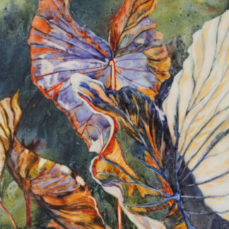 Caladium Colors by Linda Holz