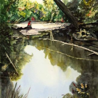 Woodland Oasis by Linda Holz