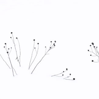 Snow Grass by Daniel Horowitz