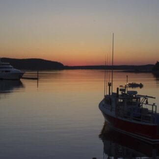 Evening Catch by Nancy Howren