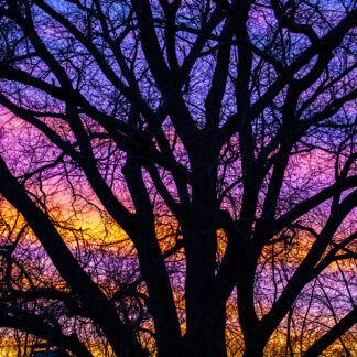 Magic At Sunset by Nancy Howren
