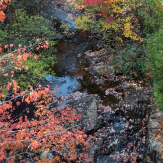 Nature's Palette II by Nancy Howren