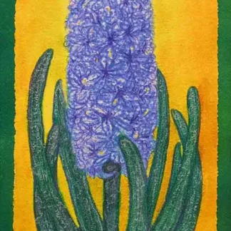 Hyacinth by Eileen Yeager