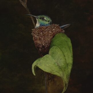 Camouflaged by Cecilia Capestany