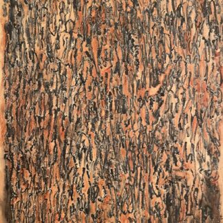 Bark Study I by Tamora Ilasat