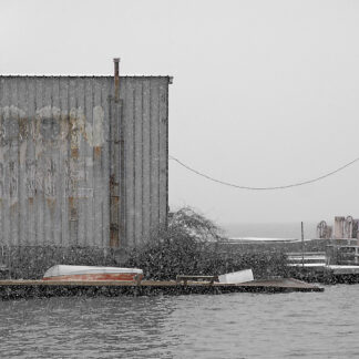 First Snow by Jane Mann