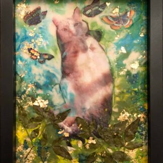 Lilly's Dream by Laura Jamroz