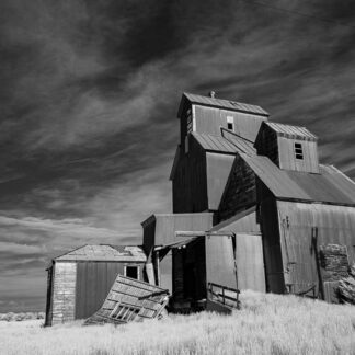 Introduction to Photography