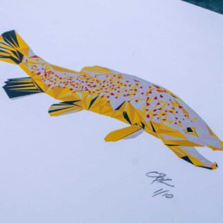 Virginia Brown Trout by Bryan Kloster