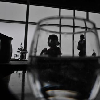 Mystery Guests in the Glass by Kwang Ku
