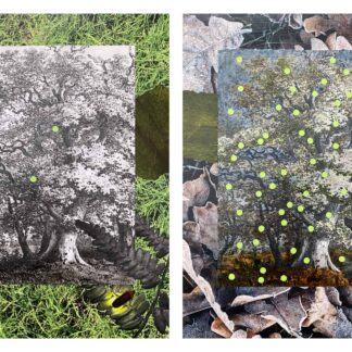Fireflies Diptych by Liz LaGarde