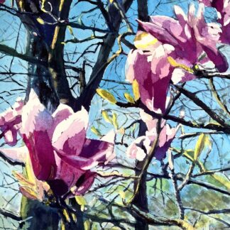 Sun Bathers by Angela Lacy
