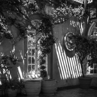 Solarium Sunlight by Leslie Landerkin