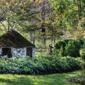 Quaint Garden by Leslie Landerkin