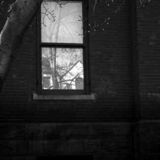 Looking In But Seeing Out by Leslie Landerkin