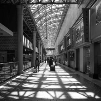Walking In by Leslie Landerkin