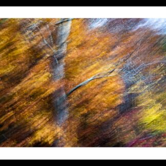 Autumn Wind by Eva Lanyi