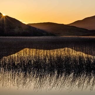 Sunset Glow by Eva Lanyi