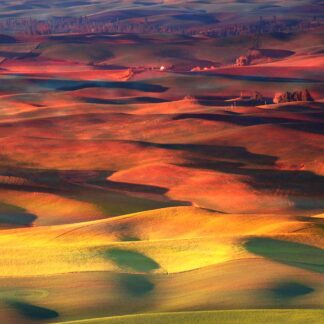 Light Fields by Joonhyun Lee