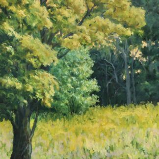 Sunlit Morning by Cindi Lewis