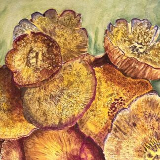 Virginia Fungi by Margery Lieber